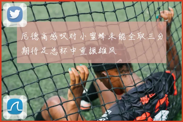 厄德高感叹对小蜜蜂未能全取三分期待足总杯中重振雄风