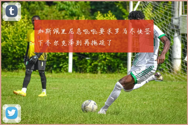 加斯佩里尼急吼吼要求罗马尽快签下齐尔克泽别再拖延了