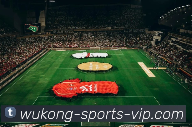 悟空体育平台生态图