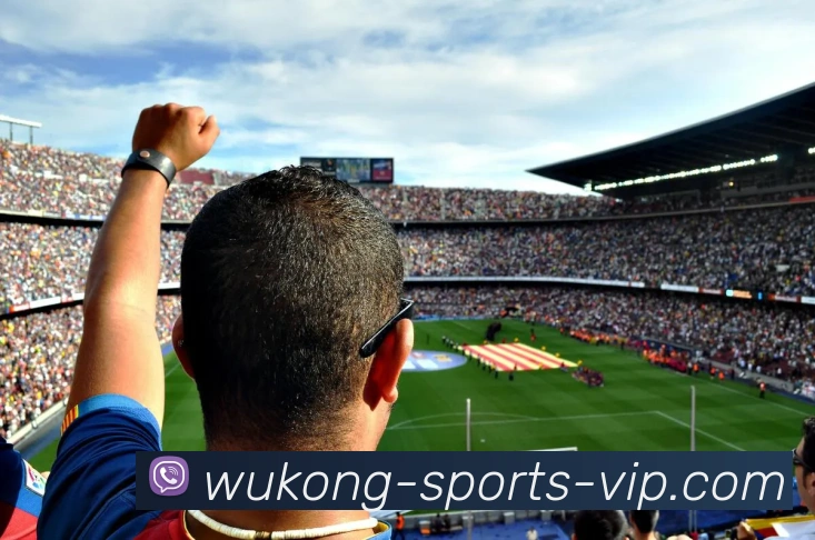 悟空体育全站App